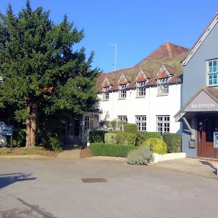 The White Swan-3