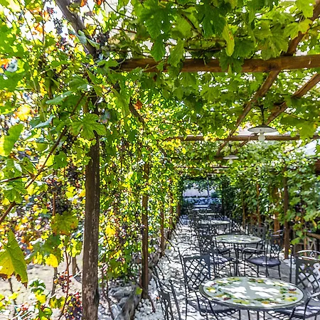 Resort & Winery Bosco De Medici-3
