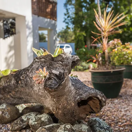Cumquat House-2