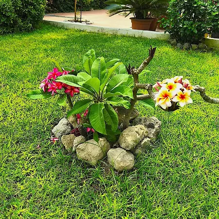 B&B Villa Antica-2
