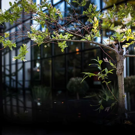 Maison Decoret-2