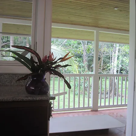 Sand Dollar Beach Bed&Breakfast-3