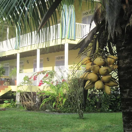 Sand Dollar Beach Bed & Breakfast-3
