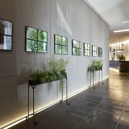 Nine Tree By Parnas Seoul Myeongdong 2-3