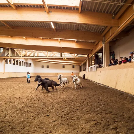 Reit-und Sporthotel Nordmann-2