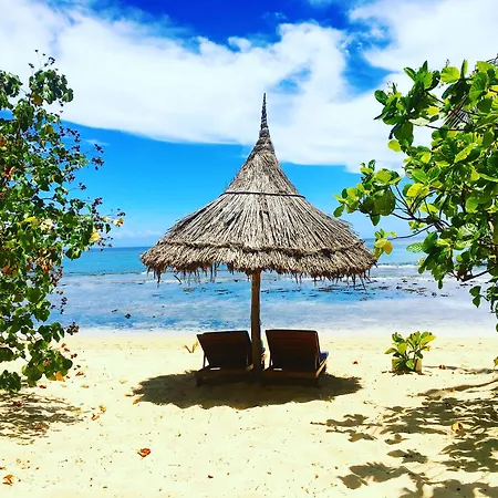 Octopus Resort-3