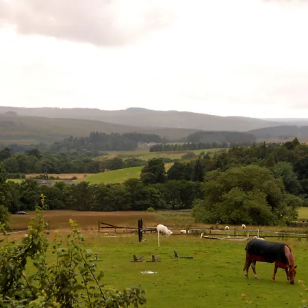 Hollybush Inn-3