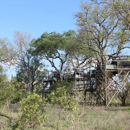 Rhino Walking Safaris-2