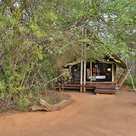 Rhino Walking Safaris-3