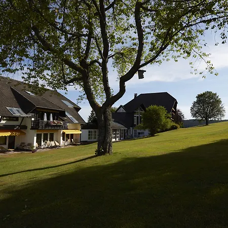 Hotel Zum Ochsen-2