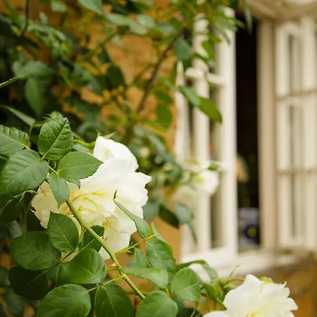 White Horse Inn & Restaurant-2