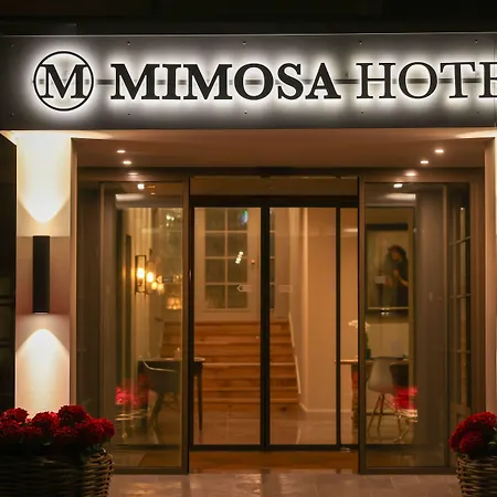 Mimosa Hotel-2