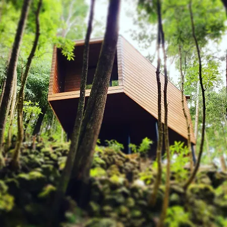 Caparica Azores Ecolodge-2