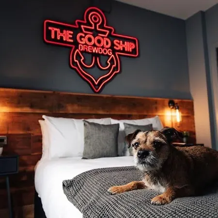 Brewdog Kennels - Aberdeen-2
