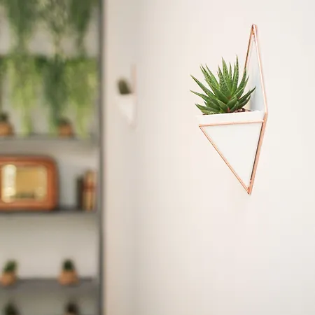 Rudiae Boutique-2