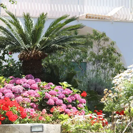 B&B Il Sogno-2
