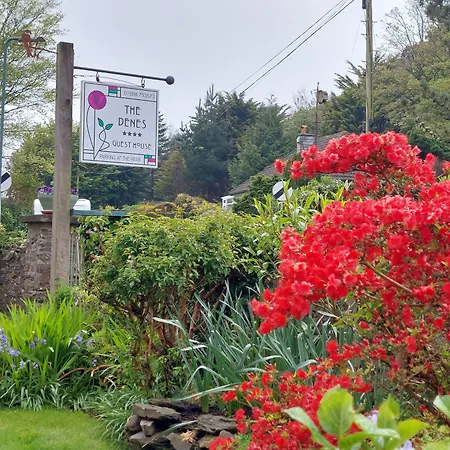 The Denes Guest House-3