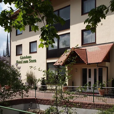 Parkhotel zum Stern-3