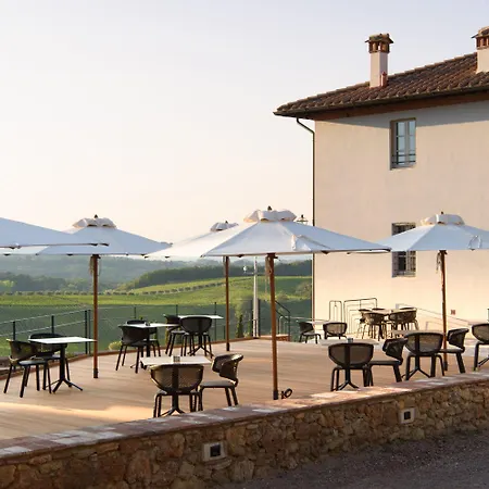 Laqua Vineyard-2