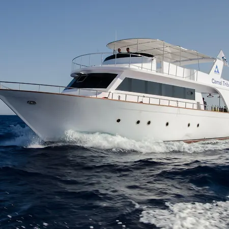 Camel Dive Club & Boutique Hotel-2
