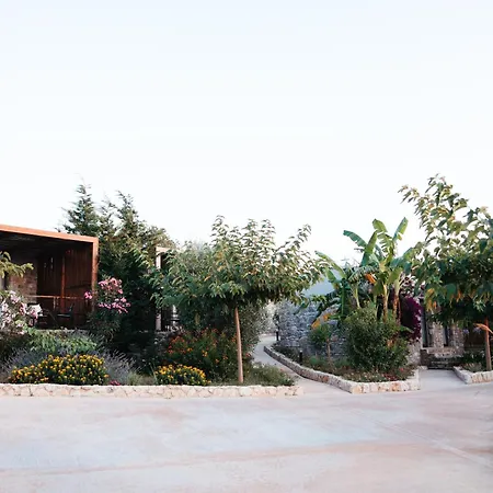 ARAMERAS Resort-3