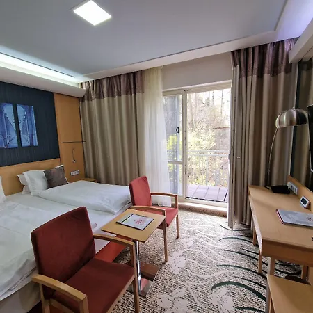 Spa Hotel Iris-2