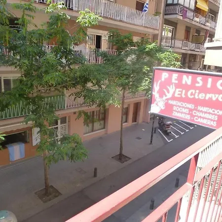 Pension El Ciervo-2