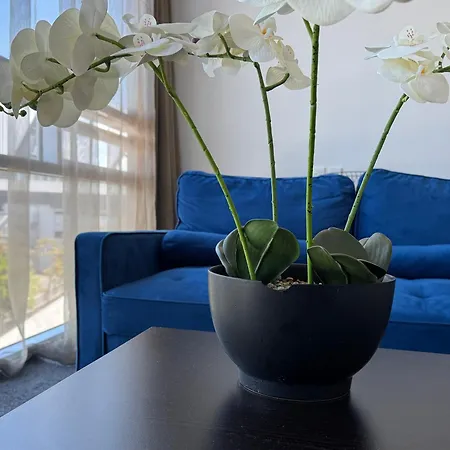 Quest Henderson, Auckland Apartment Hotel-2