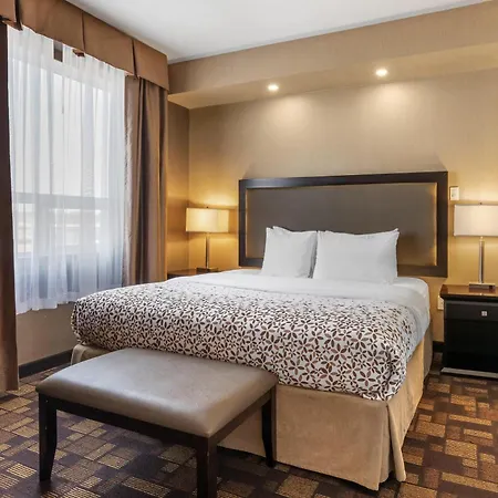 Best Western Plus Fox Creek-3
