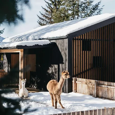 Haven Mountain Retreat-2