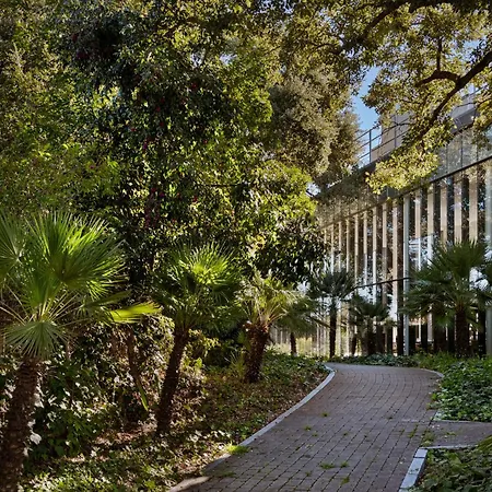 Hotel Encinar de Sotogrande-2