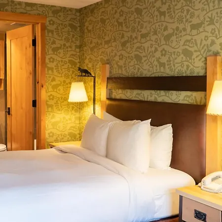 Fox Hotel And Suites-2
