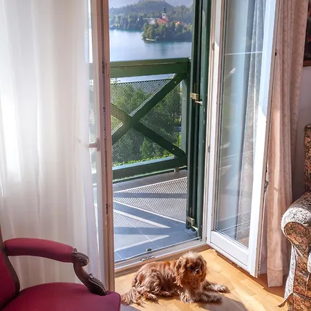 Hotel Triglav-3