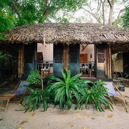 Whale Island Resort-3