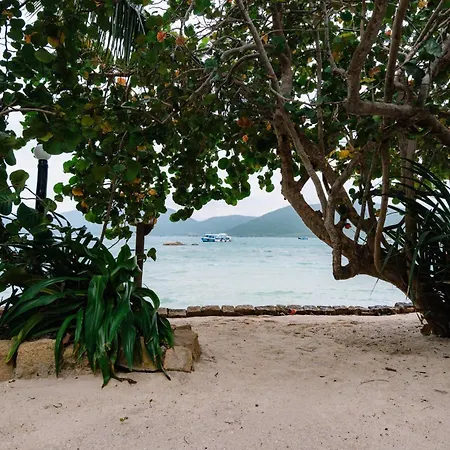 Whale Island Resort-3