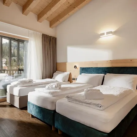 Alpen Hotel Vidi-2