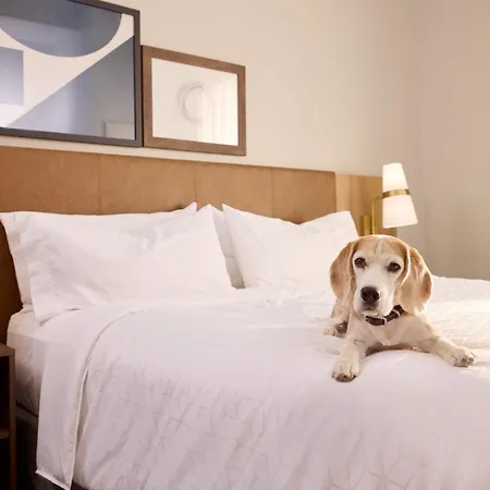 Staybridge Suites Liverpool By Ihg-3