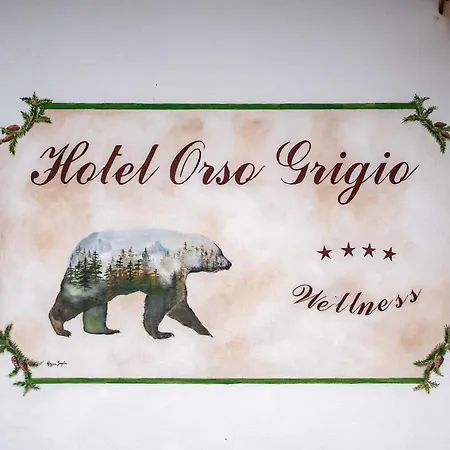 Hotel Orso Grigio-3