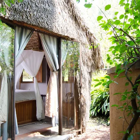 Yolitia Wellness-2