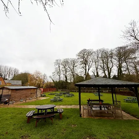 The Pear Tree-3