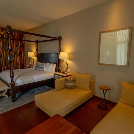 Hotel Tres Raíces Viñedo&Luxury-3