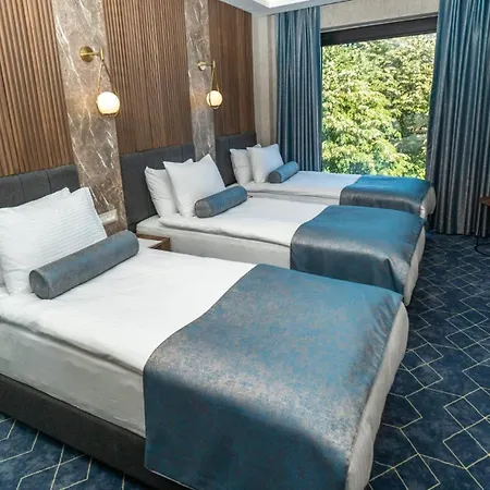 Ring Stone Hotels Bosphorus - Special Class-2