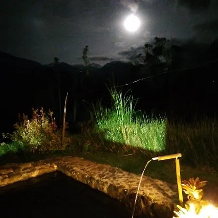Hostal Casa De Guadua/ The Bamboo House-3