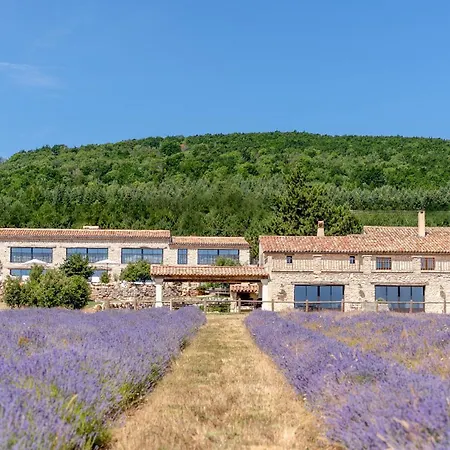 Domaine Château du Bois Provence-2