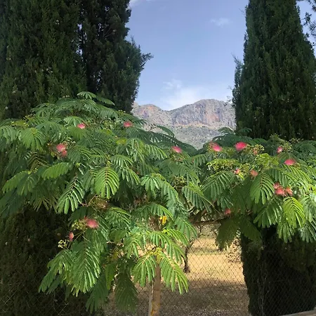Casa Rural Y Spa de Regina-2