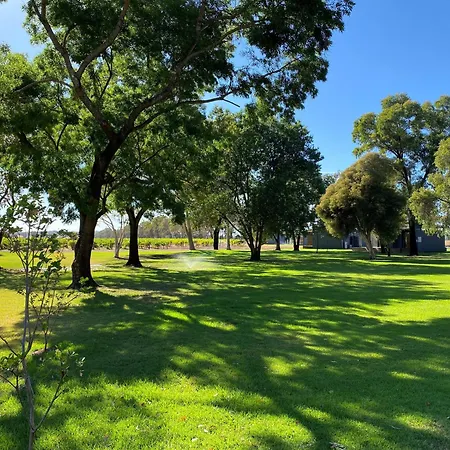 Buller Wines-3