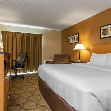 Comfort Inn Sherbrooke - Estrie-3
