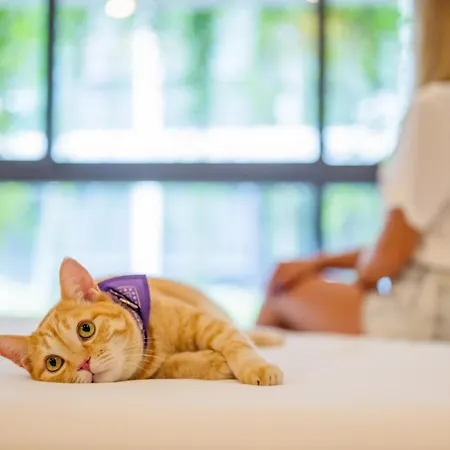 Homa Phuket Town-3