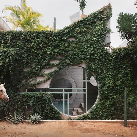 Casa To - Adults Only-2