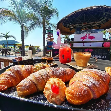 Flamingo Suites-3